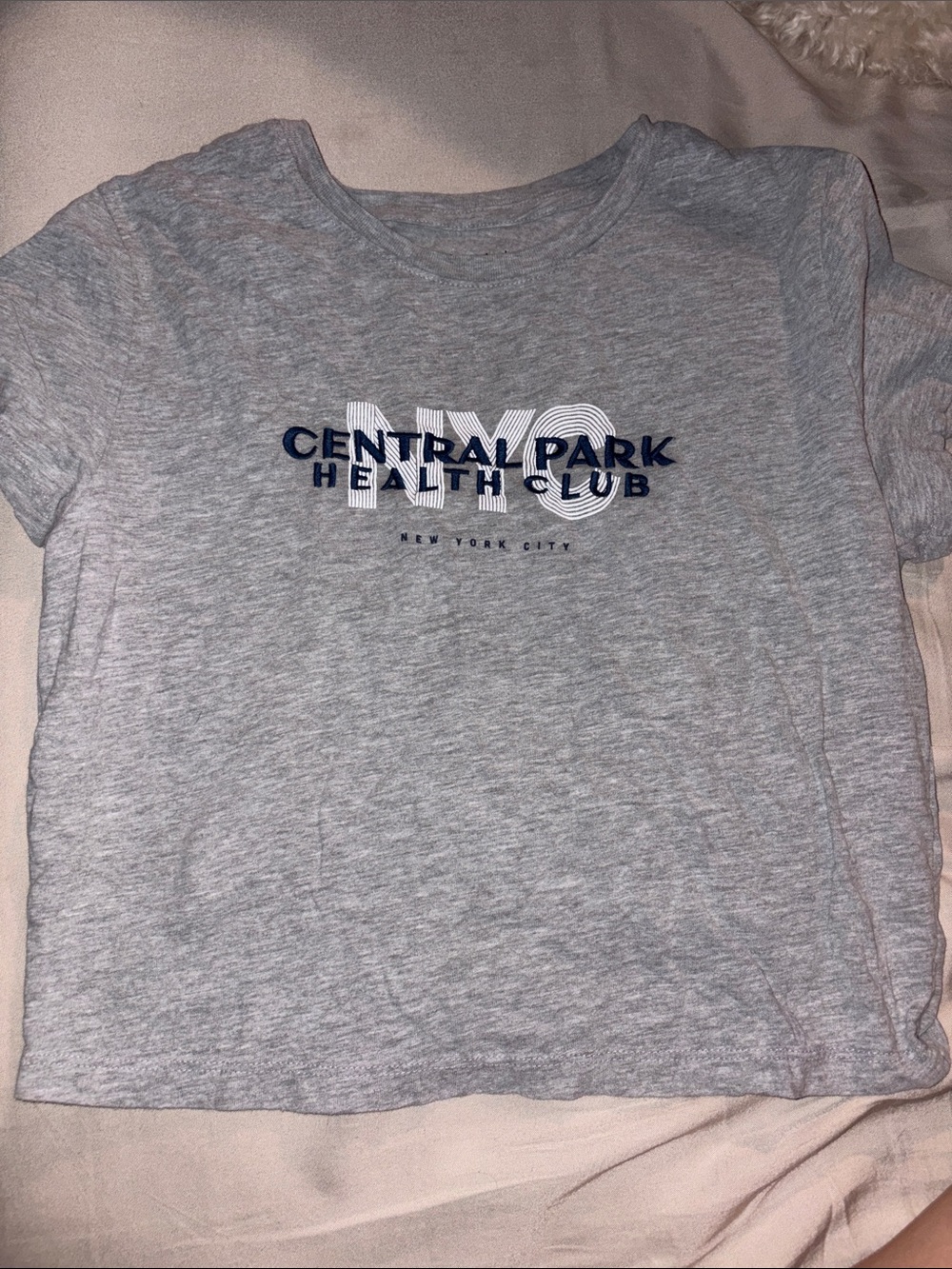 Abercrombie & Fitch Grey NYC Central Park Health Club Tee